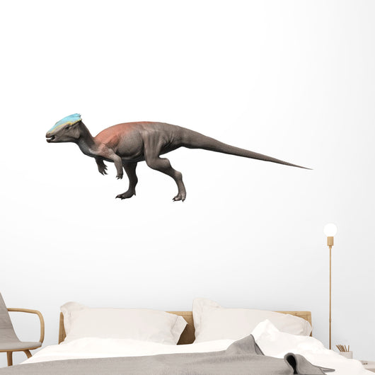 Homalocephale Is Pachycephalosaur from Wall Decal