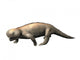 Hyperodapedon Is Rhynchosaur from Wall Decal