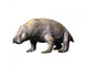 Ischigualastia Is Dicynodont from Wall Decal