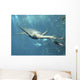 Kaiwhekea Plesiosaur Feeding Pair Wall Decal