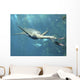 Kaiwhekea Plesiosaur Feeding Pair Wall Decal