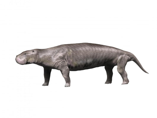 Pezosiren Is Sirenian Mammal Wall Decal