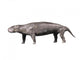 Pezosiren Is Sirenian Mammal Wall Decal