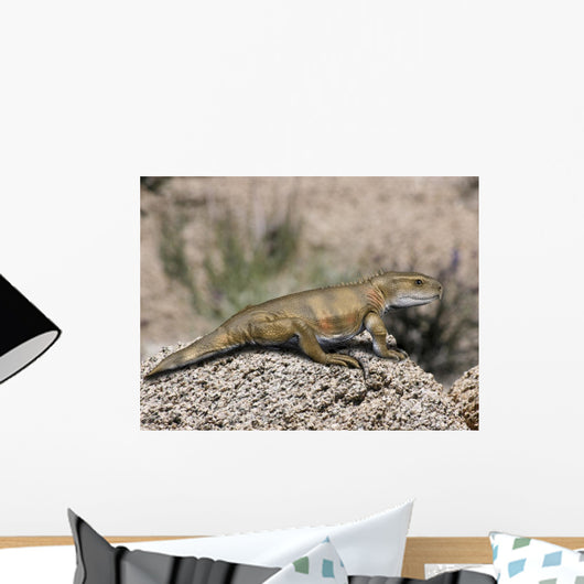 Priosphenodon Is Extinct Rhynchocephalian Wall Decal