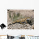 Priosphenodon Is Extinct Rhynchocephalian Wall Decal