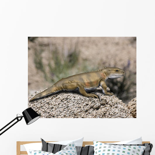 Priosphenodon Is Extinct Rhynchocephalian Wall Decal