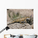 Priosphenodon Is Extinct Rhynchocephalian Wall Decal