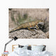 Priosphenodon Is Extinct Rhynchocephalian Wall Decal