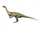 Saturnalia Is Prosauropod Dinosaur Wall Decal