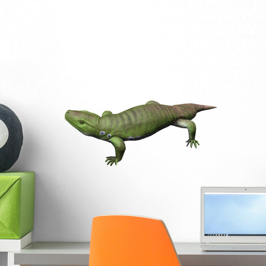 Seymouria Is Reptiliomorph from Wall Decal