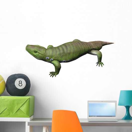 Seymouria Is Reptiliomorph from Wall Decal