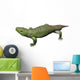 Seymouria Is Reptiliomorph from Wall Decal