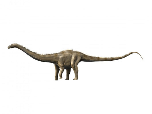 Supersaurus Is Sauropod Dinosaur Wall Decal