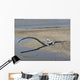 Tanystropheus Is Archosauromorph Beach Wall Decal