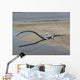 Tanystropheus Is Archosauromorph Beach Wall Decal