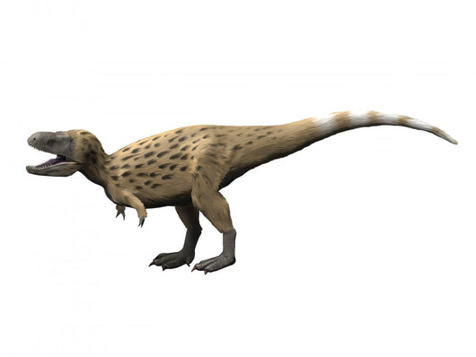 Tarbosaurus Is Theropod Dinosaur Wall Decal