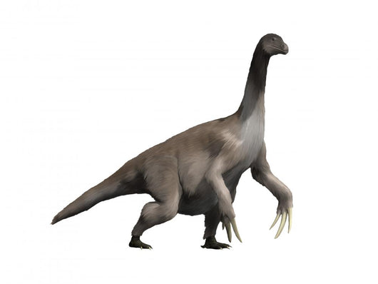 Therizinosaurus Dinosaur Wall Decal