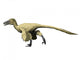 Utahraptor Is Theropod from Wall Decal