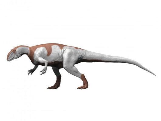 Yangchuanosaurus Is Theropod from Wall Decal
