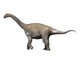 Zby Atlanticus Is Sauropod Wall Decal