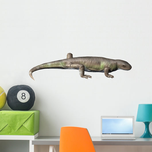 Eocasea Is Synapsid from Wall Decal