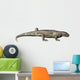 Eocasea Is Synapsid from Wall Decal