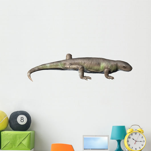 Eocasea Is Synapsid from Wall Decal