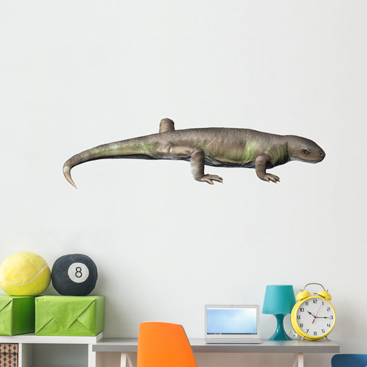 Eocasea Is Synapsid from Wall Decal