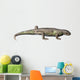 Eocasea Is Synapsid from Wall Decal