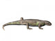 Eocasea Is Synapsid from Wall Decal