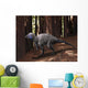 Alert Kulindadromeus Woodlands Wall Decal