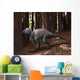 Alert Kulindadromeus Woodlands Wall Decal