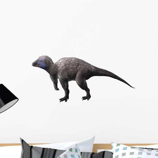Kulindadromeus Is Neornithischian from Wall Decal