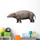 Moeritherium Is Proboscidian from Wall Decal