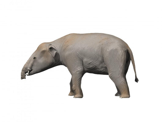 Palaeomastodon Is Proboscidian from Wall Decal