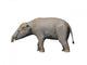 Palaeomastodon Is Proboscidian from Wall Decal