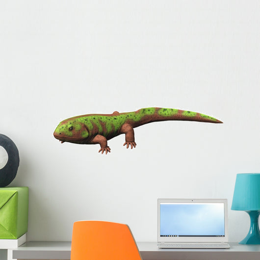 Pederpes Is Tetrapod from Wall Decal