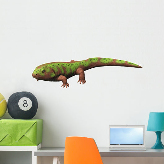 Pederpes Is Tetrapod from Wall Decal