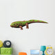 Pederpes Is Tetrapod from Wall Decal