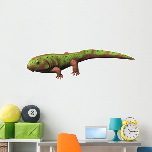 Pederpes Is Tetrapod from Wall Decal