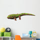 Pederpes Is Tetrapod from Wall Decal