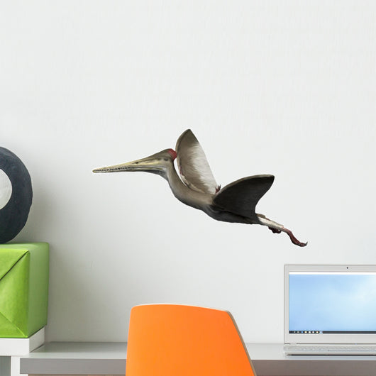 Kryptodrakon Is Pterosaur from Wall Decal