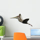 Kryptodrakon Is Pterosaur from Wall Decal