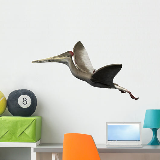 Kryptodrakon Is Pterosaur from Wall Decal