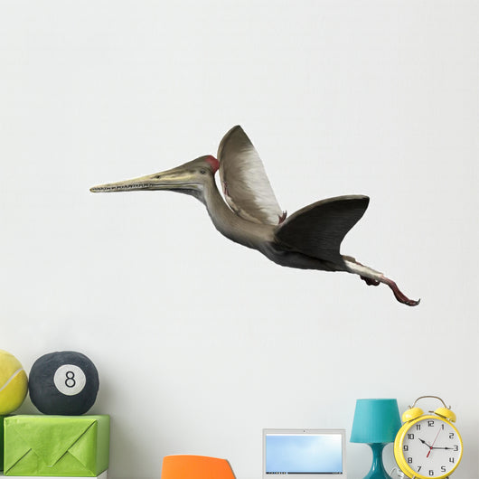 Kryptodrakon Is Pterosaur from Wall Decal