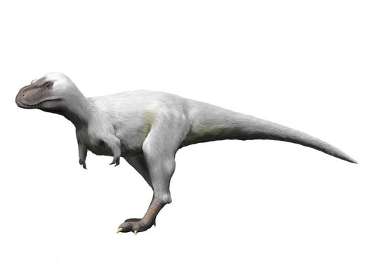 Nanuqsaurus Is Theropod from Wall Decal