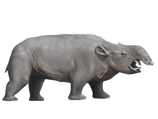 Pyrotherium Is Extinct Ungulate Wall Decal