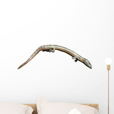 Sauropleura Is Lepospondyl from Wall Decal shown on a wall