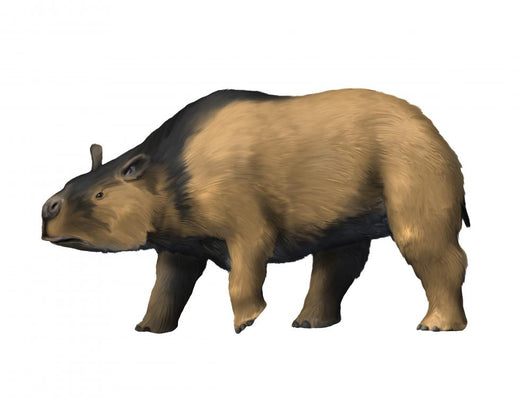 Toxodon Is Extinct Mammal Wall Decal