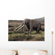 Anancus Arvernensis Proboscidea Pleistocene Wall Decal